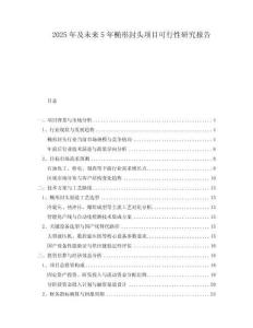 2025年及未來5年橢形封頭項(xiàng)目可行性研究報(bào)告