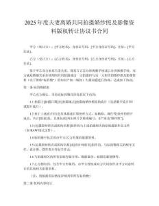 2025年度夫妻離婚共同拍攝婚紗照及影像資料版權(quán)轉(zhuǎn)讓協(xié)議書合同
