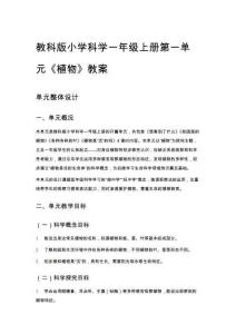 教科版小學科學一年級上冊第一單元《植物》教案