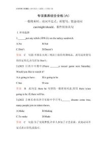 06-專(zhuān)項(xiàng)素養(yǎng)綜合全練(六)