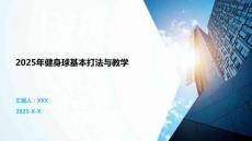 2025年健身球基本打法與教學(xué)