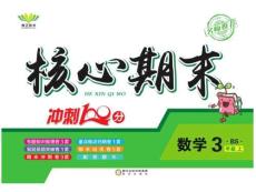 《核心期末》3年級上冊數(shù)學（BS版）