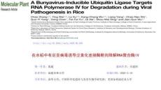 304讀書報告20200425