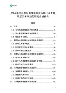 2026年馬術(shù)靴耐磨性能測(cè)試標(biāo)準(zhǔn)行業(yè)發(fā)展現(xiàn)狀及未來趨勢(shì)研究分析報(bào)告