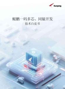 2025年鯤鵬一碼多芯、同轅開發技術白皮書-華為
