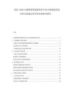 2025-2030公路橋梁和道路養(yǎng)護行業(yè)市場現(xiàn)狀供需分析及基建運營評估發(fā)展研究報告
