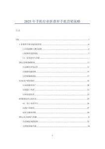 2025年手机行业折叠屏手机营销策略