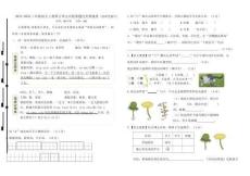 2025-2026統(tǒng)編版三年級(jí)語(yǔ)文上冊(cè)第五單元名校真題過(guò)關(guān)情境卷