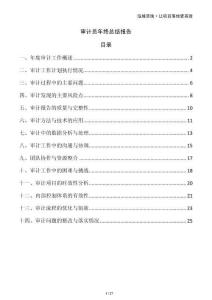 審計員年終總結(jié)報告