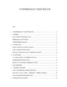 中國藥物篩選知識(shí)產(chǎn)權(quán)保護(hù)現(xiàn)狀分析