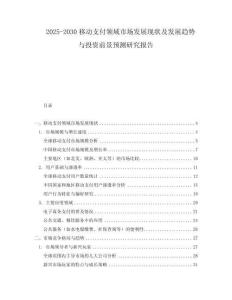2025-2030移動(dòng)支付領(lǐng)域市場(chǎng)發(fā)展現(xiàn)狀及發(fā)展趨勢(shì)與投資前景預(yù)測(cè)研究報(bào)告