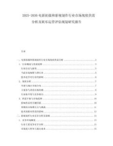2025-2030電影拍攝和影視制作行業(yè)市場現(xiàn)狀供需分析及娛樂運營評估規(guī)劃研究報告