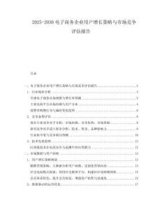 2025-2030電子商務(wù)企業(yè)用戶增長(zhǎng)策略與市場(chǎng)競(jìng)爭(zhēng)評(píng)估報(bào)告