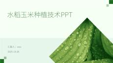 水稻玉米種植技術(shù)PPT