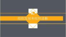 企業(yè)管理 -OD 組織發(fā)展和組織診斷