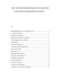 2025-2030鋼鐵冶煉超低排放技術行業(yè)市場供需格局分析及投資發(fā)展趨勢規(guī)劃分析研究報告