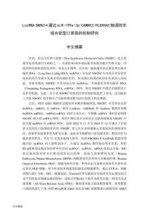 LncRNA+SNHG14通過miR-199a-3p-CAMKK2_PLEKHA5軸調(diào)控非綜合征型口