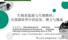 生物質(zhì)能源與生物燃料：在能源轉(zhuǎn)型中的前景、潛力與挑戰(zhàn)