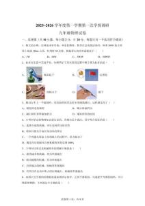 陜西省西安市經(jīng)濟(jì)開發(fā)區(qū)2025-2026學(xué)年九年級(jí)上學(xué)期第一次學(xué)情調(diào)研物理試題【含答案】
