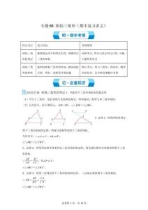 專題03相似三角形（期中復(fù)習(xí)講義）九年級(jí)數(shù)學(xué)上學(xué)期滬科版【含答案】