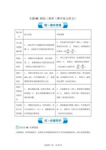 專題03相似三角形（期中復(fù)習(xí)講義）九年級(jí)數(shù)學(xué)上學(xué)期湘教版【含答案】