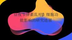 晝夜節(jié)律紊亂對(duì)β細(xì)胞功能影響的研究進(jìn)展2025