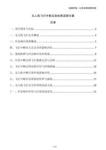 無人機飛行中斷應急處理流程方案