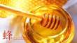 蜂蜜產(chǎn)品介紹品牌宣傳PPT