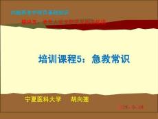 20版養(yǎng)老護理基礎知識 模塊五：培訓課程（6）自然災害的應對知識