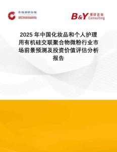 2025年中國(guó)化妝品和個(gè)人護(hù)理用有機(jī)硅交聯(lián)聚合物微粉行業(yè)市場(chǎng)前景預(yù)測(cè)及投資價(jià)值評(píng)估分析報(bào)告