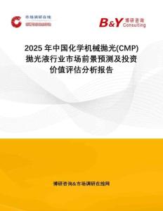 2025年中國化學(xué)機(jī)械拋光(CMP)拋光液行業(yè)市場前景預(yù)測及投資價(jià)值評估分析報(bào)告
