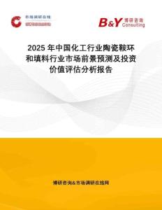2025年中國(guó)化工行業(yè)陶瓷鞍環(huán)和填料行業(yè)市場(chǎng)前景預(yù)測(cè)及投資價(jià)值評(píng)估分析報(bào)告