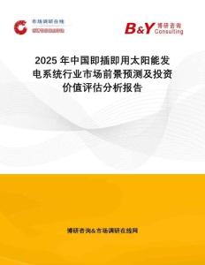 2025年中國即插即用太陽能發(fā)電系統(tǒng)行業(yè)市場前景預(yù)測及投資價值評估分析報告