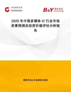 2025年中國多媒體IC行業(yè)市場前景預(yù)測及投資價值評估分析報告