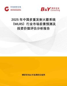 2025年中國多重發(fā)射火箭系統(tǒng)(MLRS)行業(yè)市場前景預(yù)測及投資價值評估分析報告