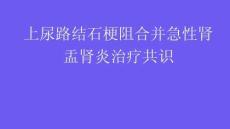 上尿路结石梗阻合并急性肾盂肾炎治疗共识2025
