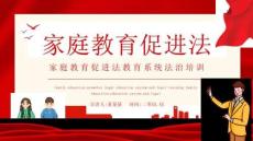 家庭教育促進(jìn)法教育系統(tǒng)法治培訓(xùn)PPT