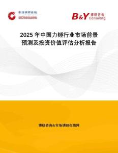 2025年中國力錘行業(yè)市場前景預(yù)測及投資價值評估分析報(bào)告