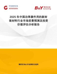 2025年中國功率器件用的新封裝材料行業(yè)市場前景預(yù)測及投資價值評估分析報告