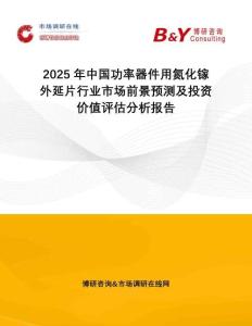 2025年中國功率器件用氮化鎵外延片行業(yè)市場前景預(yù)測及投資價值評估分析報告