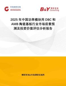 2025年中國(guó)功率模塊用DBC和AMB陶瓷基板行業(yè)市場(chǎng)前景預(yù)測(cè)及投資價(jià)值評(píng)估分析報(bào)告