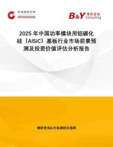 2025年中國功率模塊用鋁碳化硅（AlSiC）基板行業(yè)市場前景預(yù)測及投資價值評估分析報告