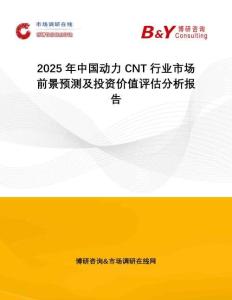 2025年中國動力CNT行業(yè)市場前景預(yù)測及投資價值評估分析報告