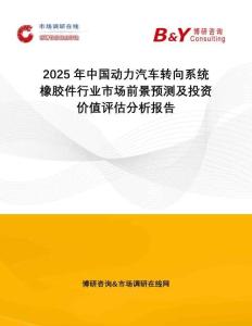 2025年中國動力汽車轉向系統橡膠件行業市場前景預測及投資價值評估分析報告