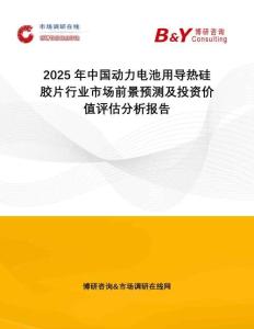 2025年中國動力電池用導熱硅膠片行業(yè)市場前景預測及投資價值評估分析報告