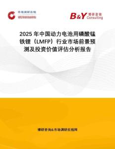2025年中國(guó)動(dòng)力電池用磷酸錳鐵鋰（LMFP）行業(yè)市場(chǎng)前景預(yù)測(cè)及投資價(jià)值評(píng)估分析報(bào)告