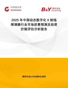 2025年中國(guó)動(dòng)態(tài)數(shù)字化X射線探測(cè)器行業(yè)市場(chǎng)前景預(yù)測(cè)及投資價(jià)值評(píng)估分析報(bào)告