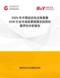 2025年中國動態(tài)電壓恢復(fù)器DVR行業(yè)市場前景預(yù)測及投資價(jià)值評估分析報(bào)告