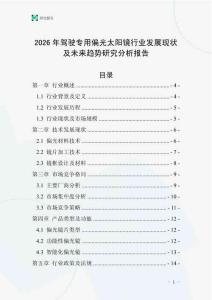 2026年駕駛專用偏光太陽鏡行業發展現狀及未來趨勢研究分析報告