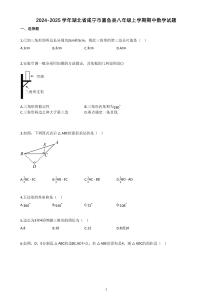 2024-2025學年湖北省咸寧市嘉魚縣八年級上學期期中數(shù)學試題
